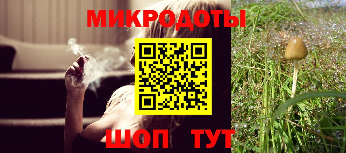 Иркутск  Галлюциногенные грибы Cubensis  Вход с VPN 